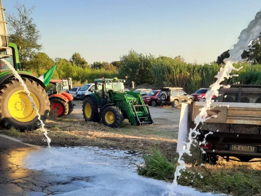 Caro carburanti, Civitavecchia si unisce alla protesta. Mercuri: "Presto ripercussioni sui consumatori" - TRC Giornale