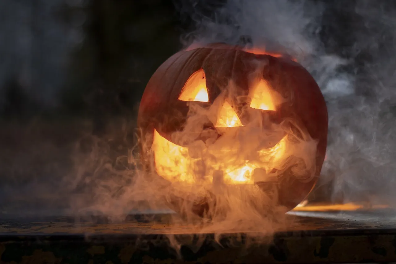 Caccia al dolcetto nel bosco a ingresso gratuito per aspettare Halloween: appuntamento al Vivaio della Maccarese