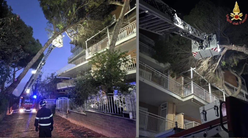 Maltempo a Santa Marinella, pino crolla contro una palazzina: vigili del fuoco in azione