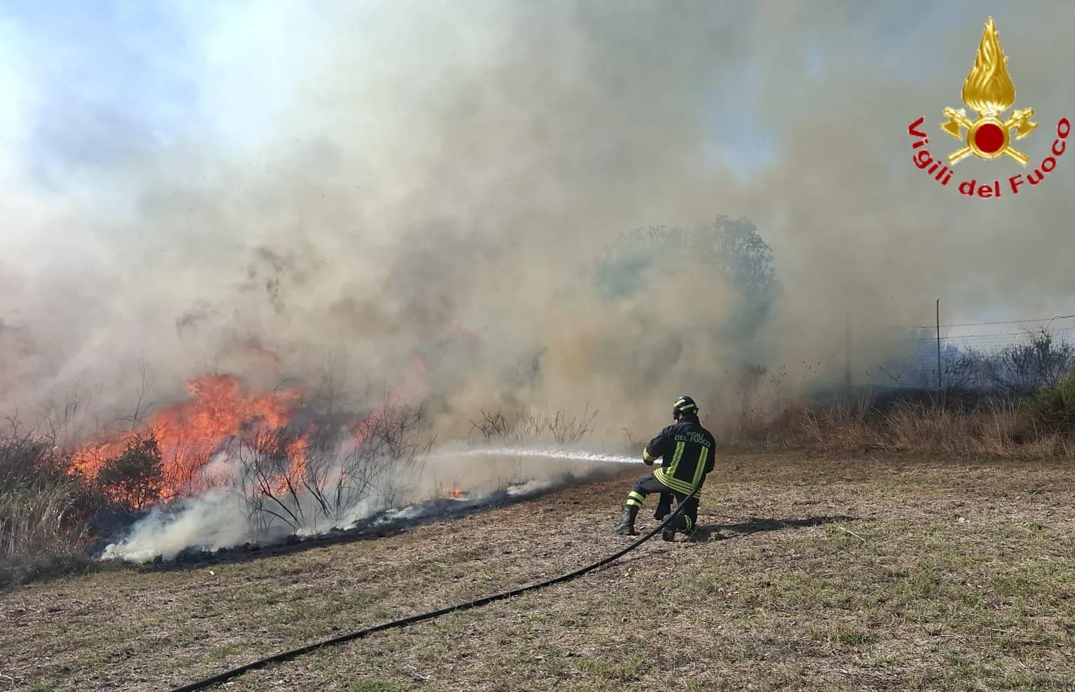 Ancora un incendio di sterpaglie, Vigili del Fuoco in via Moneta - TRC Giornale