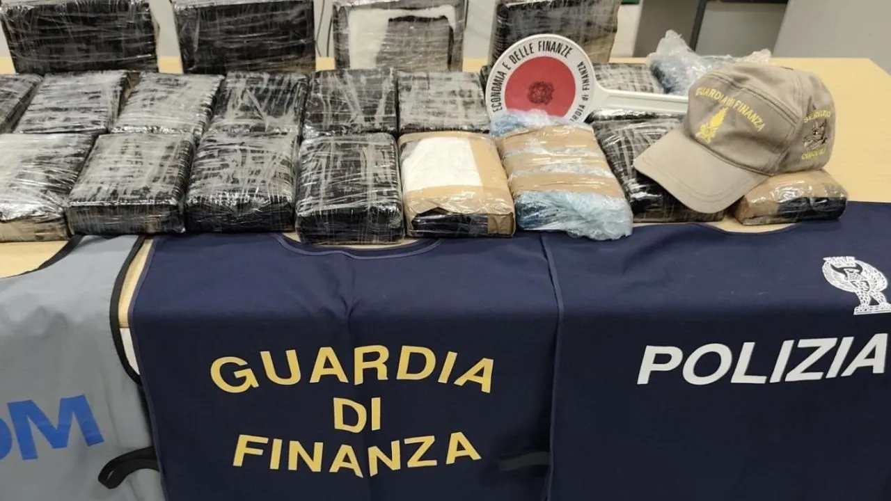 Maxi sequestro di cocaina a Civitavecchia, il fiuto di Milton in azione: arrestato corriere tedesco (VIDEO)