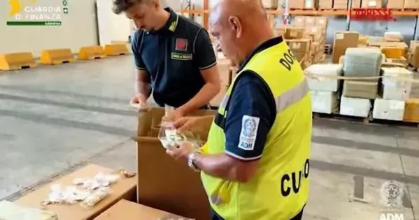 Telemedicina, il modello virtuoso di Vizzini grazie alla rete FTTH di Open Fiber