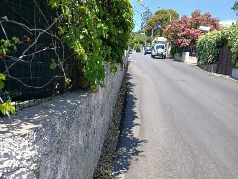Santa Marinella, al via il piano di riqualificazione del verde pubblico - TRC Giornale
