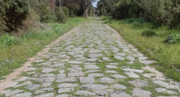 Escursioni tra storia e natura: Castel di Guido e Via Severiana il 29 e 30 agosto