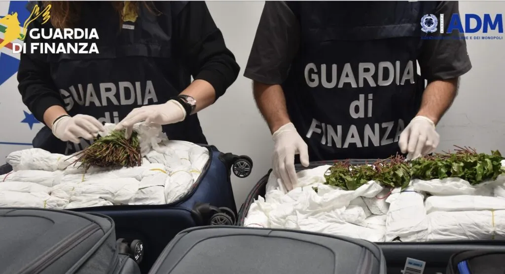 Maxi-sequestro di Khat a Roma: viaggiava con sette valigie piene